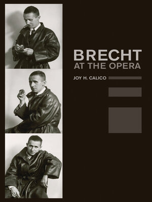cover image of Brecht at the Opera